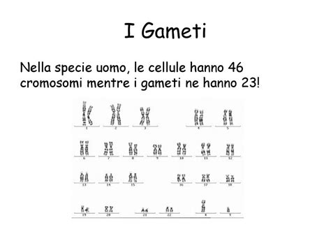 La Scienza Dellereditariet Ppt Scaricare