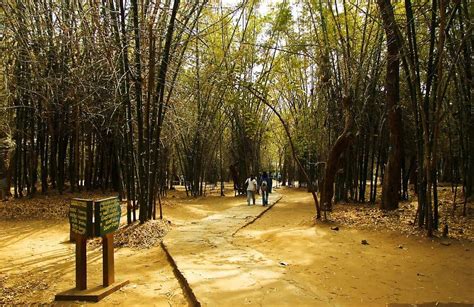 Nisargadhama – Nature park Coorg Visiting Timings - Places to visit in ...