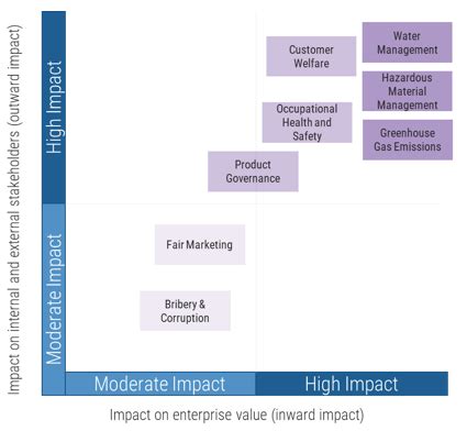 The ESG Imperative And Its Impact On Organizations Info Tech Research