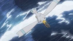 Wingull (Pokémon) - Bulbapedia, the community-driven Pokémon encyclopedia