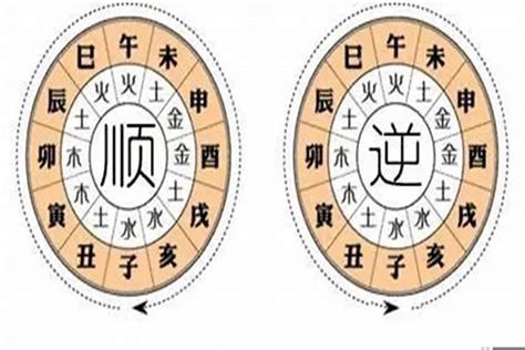 八字中什么是大运？大运走官运是什么意思财运若朴堂文化