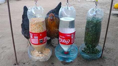 Como Hacer Comedero Y Bebedero Para Gallinas Y Gallos Solo Con Botellas