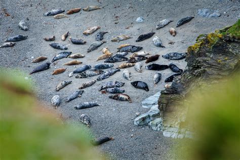 A Dose of Antacids, a Quaint British Bay, and a Public Relations Fiasco