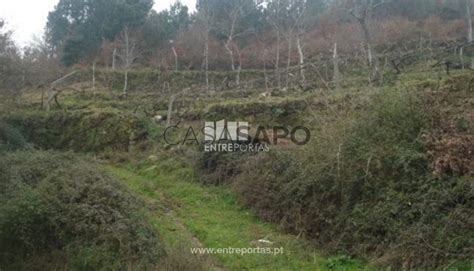 Casa R Stica Habitaci N Venta En Cinf Es Ferreiros De