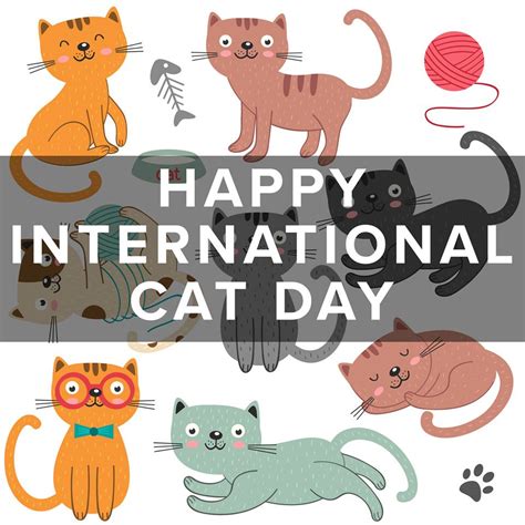 International Cat Day Wishes Images Whats Up Today