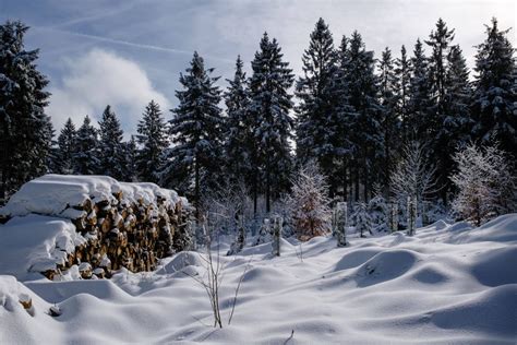 Wetter In Th Ringen Brachiale Prognose Sieht Nicht Gut Aus