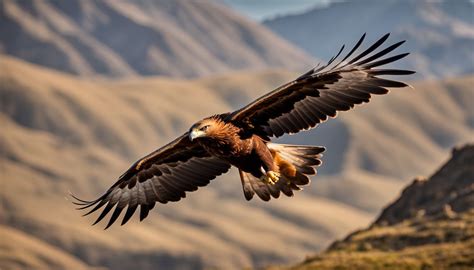 12 Birds That Look Like Phoenix Mythical Creatures And Real Life