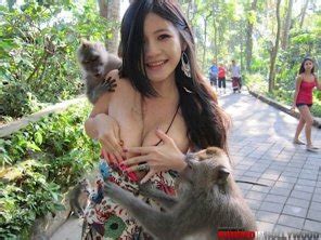 Monkey Business Porn Pic