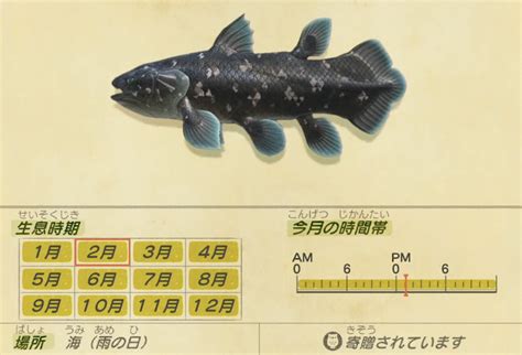 【あつ森】雨の日限定激レア魚！「シーラカンス」の釣れる場所・出現時間・魚影情報まとめ ゲーマーズハイ！ 最新ゲーム攻略data Base