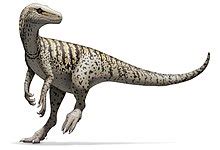 Herrerasauria - Wikispecies