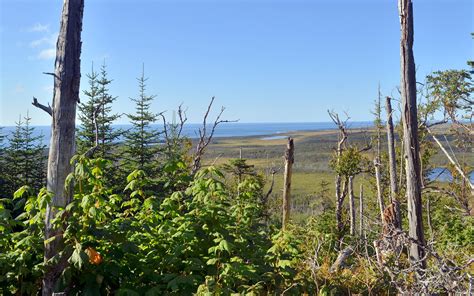 Hiking Gros Morne National Park: 4 Amazing Newfoundland Trails » I've ...