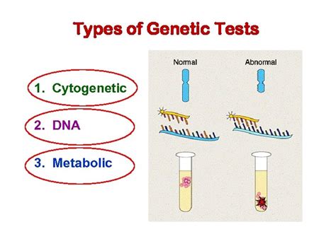 Mohammed El Khateeb Control And Prevention Of Genetic Disorders