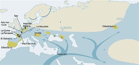 Neanderthal extinction - Wikiwand