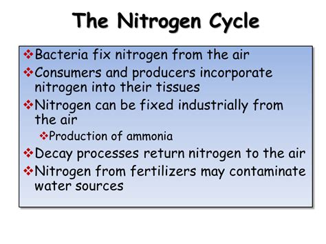 Carbon Phosphorus And Nitrogen Cycles Essay