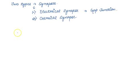 SOLVED QUESTION 9 What Are The Two Types Of Synapses Gap Junctions