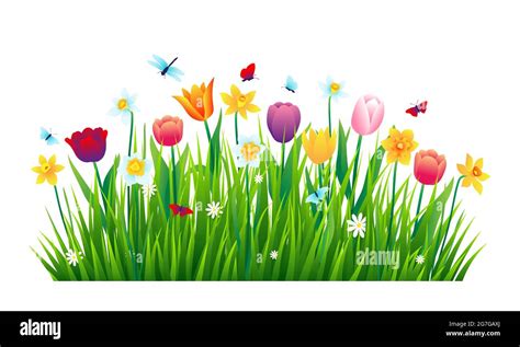 Green Grass Flowers Clipart