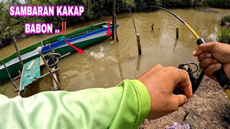 MANCING IKAN KAKAP DI ALAM LIAR MEMANG BIKIN KETAGIHAN YouTube