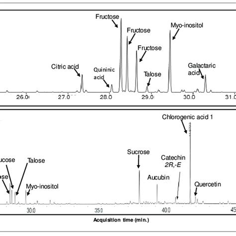 A Gcms Chromatogram Of A Metabolomic Analysis Of Pi Infusion The Pi