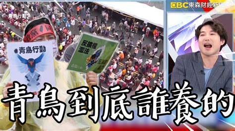 「青鳥到底是有人養的，還是天空掉下來的」！？ 禹宣狠酸民進黨老把「自發性」掛嘴邊：就跟你說台灣不缺電一樣！【57爆新聞】newsebc