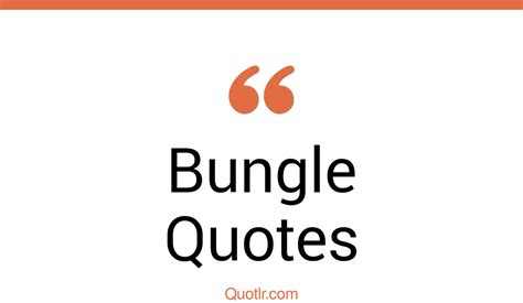 48+ Powerful Bungle Quotes That Will Unlock Your True Potential