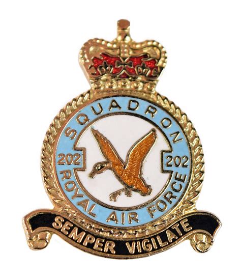 Queen Crown 202 Squadron Royal Air Force Raf Enamel Brooch Badge Ebay