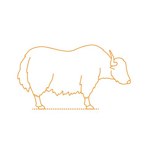 Tamaraw Drawing Sketch