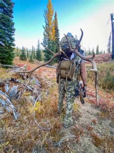 Idaho Elk Hunting Idaho Hunting Outfitters Idaho Hunting Guides