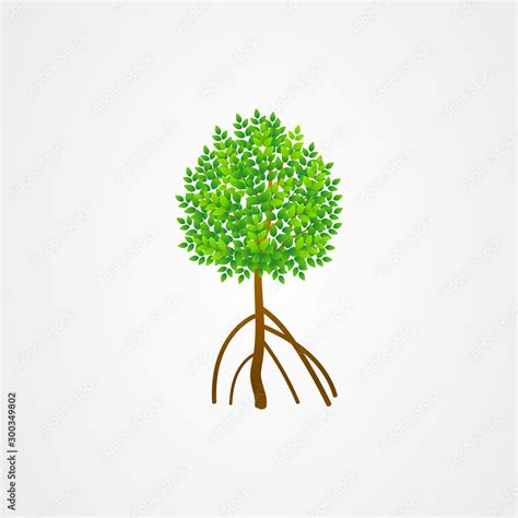 Tree and roots vector, mangrove tree illustration, mangrove plant Stock ...