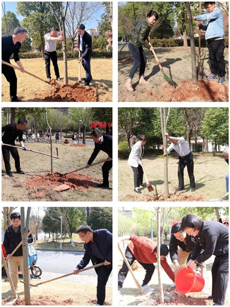 春回大地更添绿 学院开展我为亚运种棵树活动 浙江农林大学暨阳学院