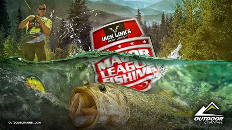 100 Fondos De Fotos De Largemouth Bass Wallpapers