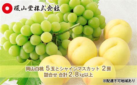 【楽天市場】【ふるさと納税】桃 ぶどう 2025年 先行予約 岡山 白桃 5玉とシャイン マスカット 2房 詰合せ 合計27kg以上 もも