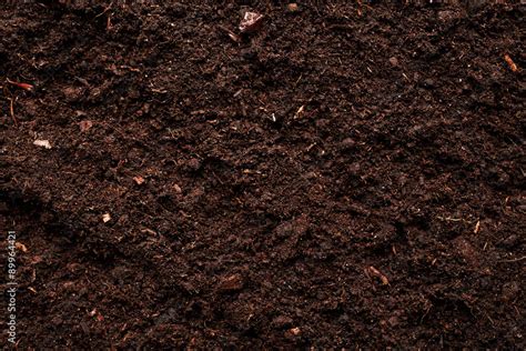 Soil texture Stock Photo | Adobe Stock