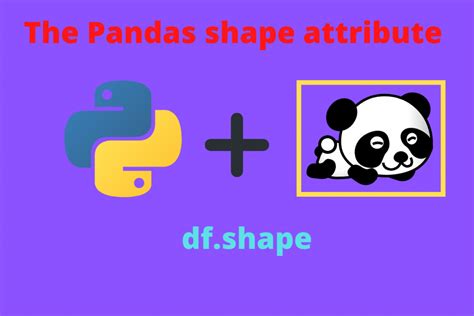 The Pandas Shape Attribute A Complete Guide Askpython