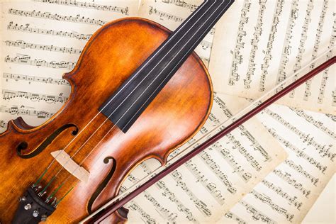 fascinating violin facts   king  strings factsnet