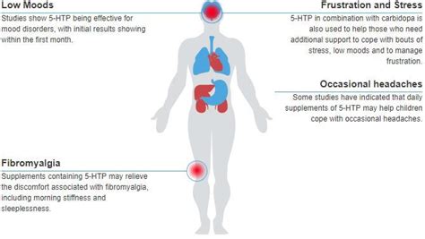 5-HTP | Health Benefits and Uses of 5-HTP - Xtend-Life Natural Products