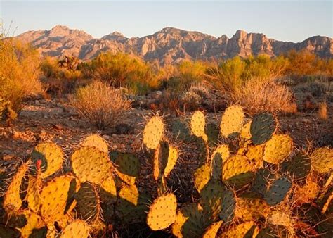 15 Closest Hotels to Pusch Ridge Golf Course in Oro Valley | Hotels.com