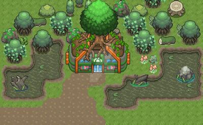 Pokemon Grass Type Gym by aveontrainer on DeviantArt