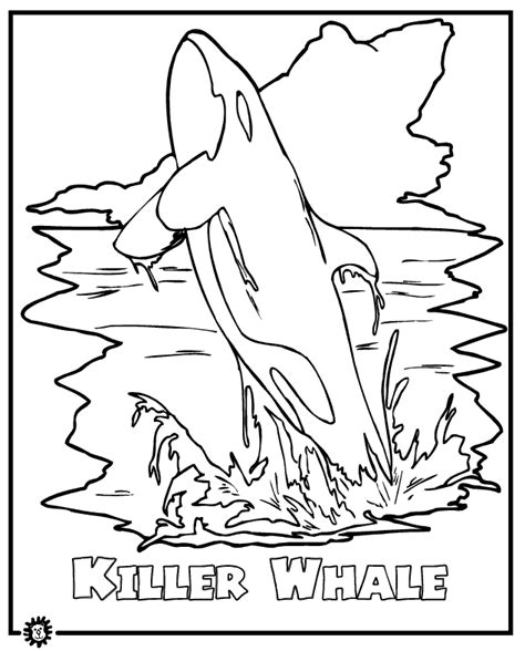 Printable Orca Coloring Pages