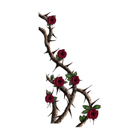 Free Crown Of Thorns PNG Images, Transparent Rose Thorns Download ...