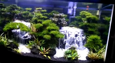 Inspirasi Desain Aquascape Tema Air Terjun Yang Indah Menakjubkan