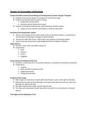 Understanding Oxygenation And Perfusion In The Respiratory System