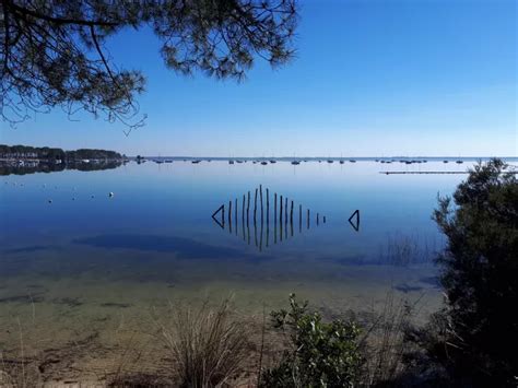 Boucle De Randonn E Le Sentier Du Lac Maubuisson Carcans