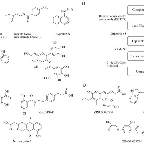 A Chemical Structures Of Representative Dnmt Inhibitors Rg Was