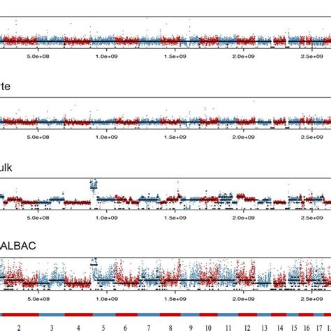 The Boxplot Of Copy Number On Chromosome And Chromosome A The