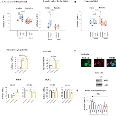 Scrna Seq Identifies Sex Specific Pathways Induced By Alcohol In The Download Scientific