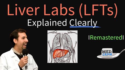 Liver Function Test Interpretation Lfts Liver Enzymes Remastered