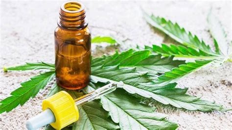 Cannabis Medicinal Cuáles Son Sus Propiedades