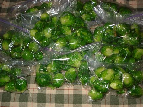 Preserving Food Traditions: Freezing Brussel Sprouts