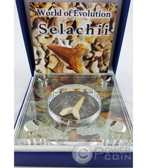 SELACHII World of Evolution Sharks 1 Oz Silber Münze 1000 Francs