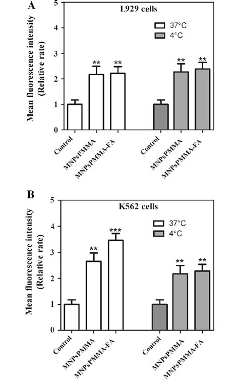 Quantification Of Mean Fluorescence Intensity By ImageJ Software Cells